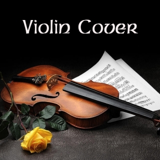 Violin Cover - Various Artists