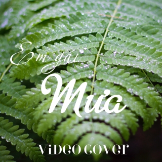 Em Gái Mưa (Video Cover List) - Various  Artists