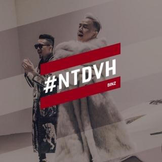 #NTDVH (Single) - BinzTouliver