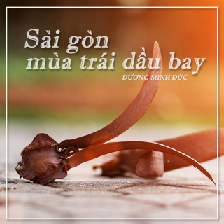 Sài Gòn Mùa Trái Dầu Bay (Single) - Dương Minh Đức