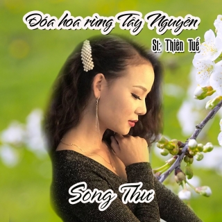 Đóa Hoa Rừng Tây Nguyên (Single) - Song Thư (trữ tình)Song Thảo