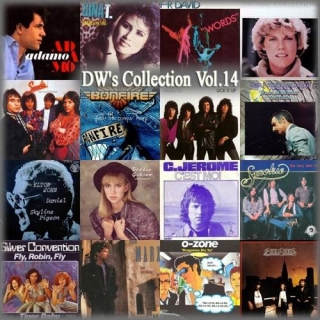 DW's Collection Vol.14 - Various Artists
