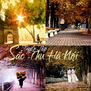 Tuyển Tập Sắc Thu Hà Nội - Various  Artists