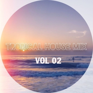 Tuyển Tập Nhạc Việt Tropical House Mix Vol 02  - Various  Artists