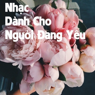 Nhạc Dành Cho Người Đang Yêu - Various Artists