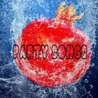 Party Songs - Various Artists