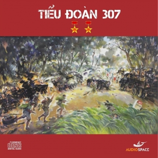 Tiểu Đoàn 307 (Single) - Thụy Vân, Huy Anh