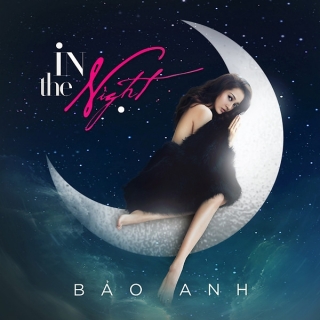 In The Night (Single) - Bảo Anh