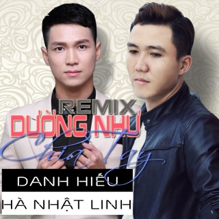 Dường Như Chia Tay (Remix Single) - Danh HiếuHà Nhật Linh