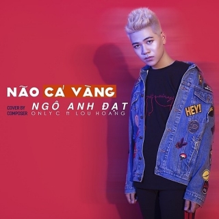 Não Cá Vàng (Cover) (Single) - Ngô Anh Đạt