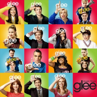 The Glee Cast