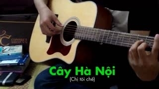 Cây Hà Nội (Chị Tôi Chế) - Various Artist