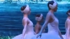 Ballet Hồ Thiên Nga (The Swan Lake Ballet) - Various Artists, Various Artists, Various Artists 1